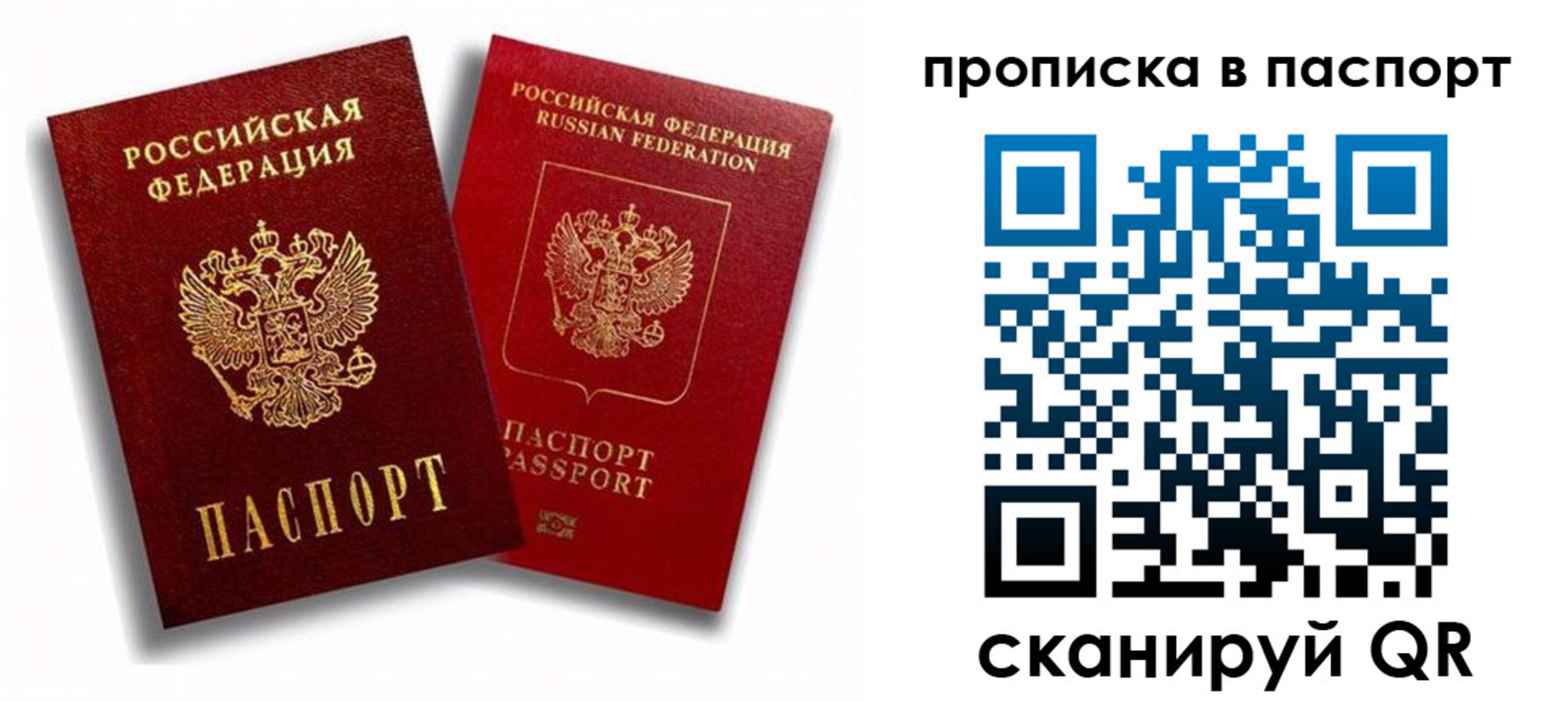 прописка поиск в Королёве